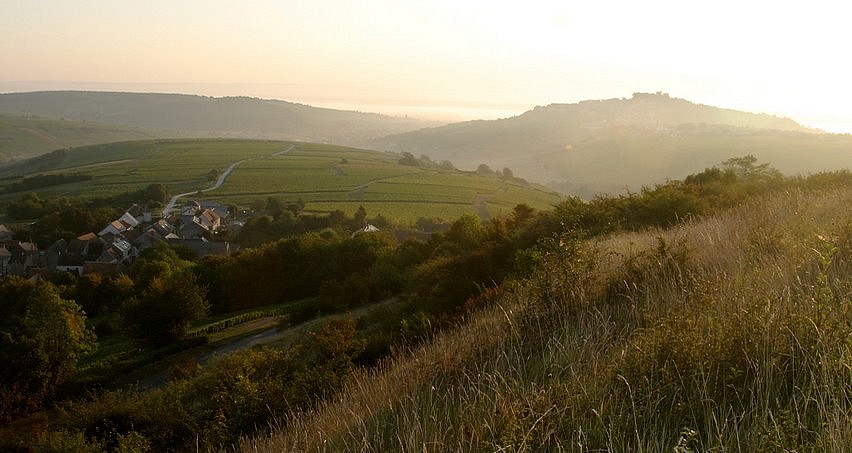 Amigny et la colline de Sancerre au petit matin
