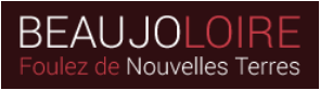 Beaujoloire, vins du Beaujolais, Centre-Loire et Maconnais - caviste en ligne