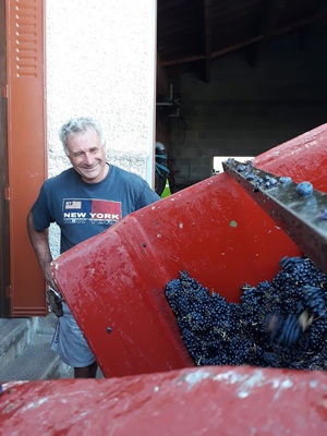 Alain Coudert vigneron heureux