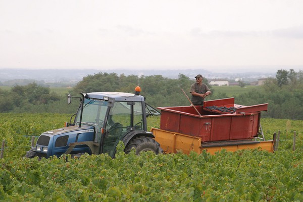 Benne Desvignes & Jean-Yves