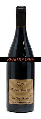 Bouteille Antoine Sanzay Saumur Champigny La Haye Dampierre