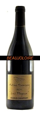 Bouteille Antoine Sanzay Saumur-Champigny Les Poyeux