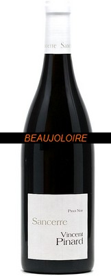 Bouteille Pinard Pinot Noir