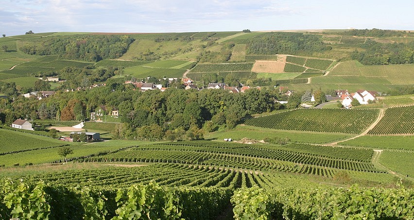 Bué, le village et ses vignes