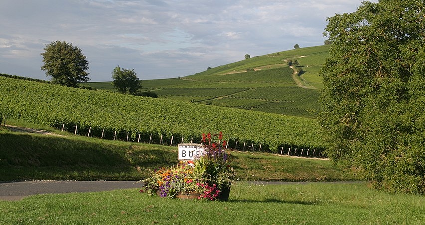 Bué, tout comme Amigny et Chavignol, offre de superbes vues sur le vignoble sancerrrois