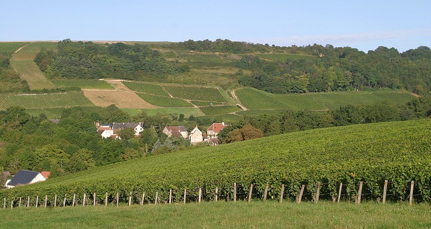 Bué, village comptant le plus de vignerons de l'appellation Sancerre