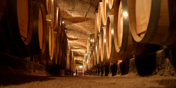 Cave Château des Jacques