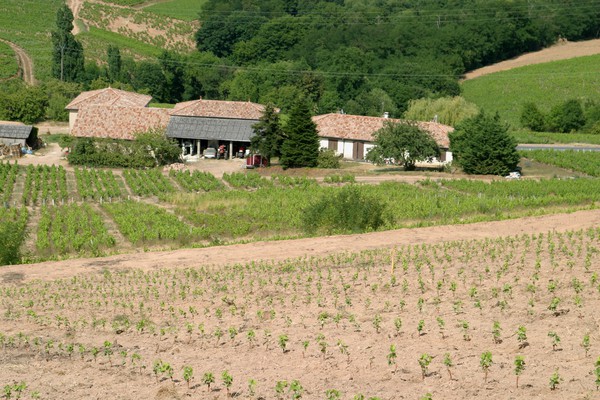 Chassignol au-dessus du domaine (pente 45 degrés)