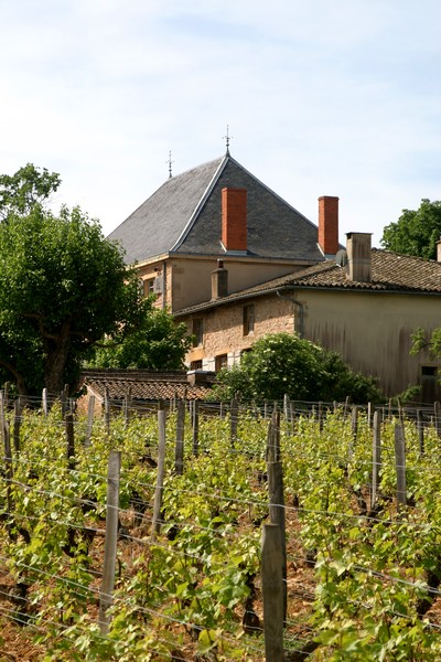 Château des Rontets et vignes attenantes