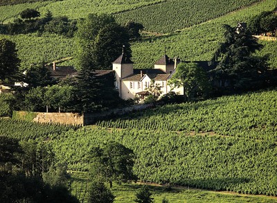 chateau thivin