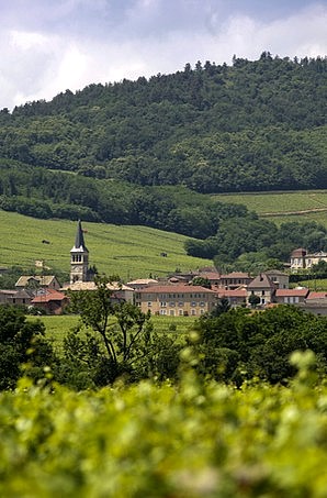 Chénas un matin d'été