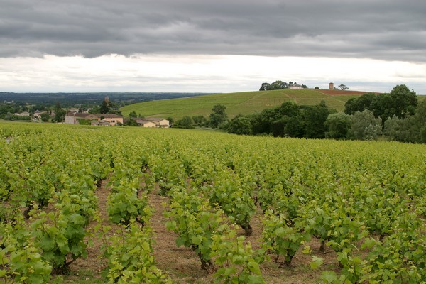 Ciel gris à Charentay le 190515