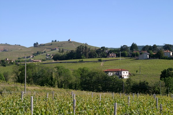 Clos du Pavillon