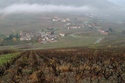 Côte-de-Brouilly Lieu-dit la Côte et hameau de Brouilly