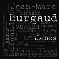 Etiquette Burgaud Morgon Côte du Py James