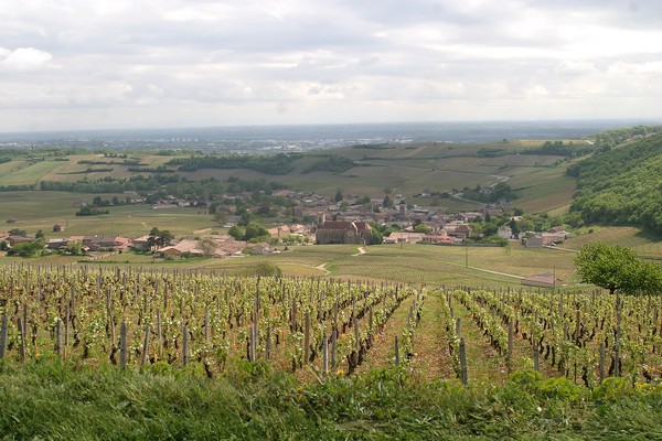 Fuissé, vue des Vignes Blanches