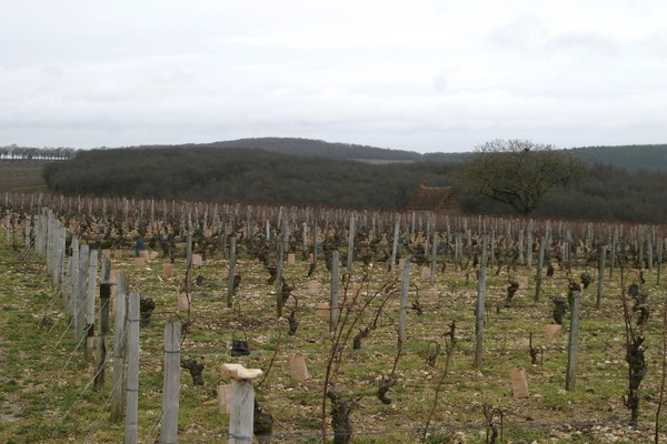 Grand Chemarin (Petit Chemarin derrière la cabane)