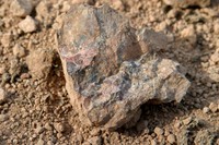 Granite lardé de Chassignol