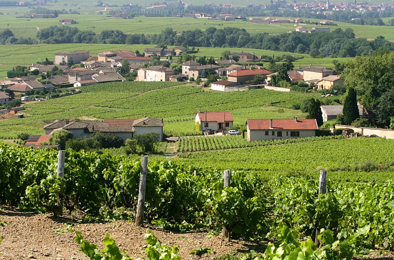 Hameau de Morgon