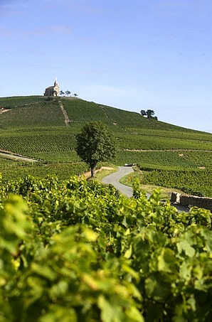 La chapelle de la Madone (Fleurie)