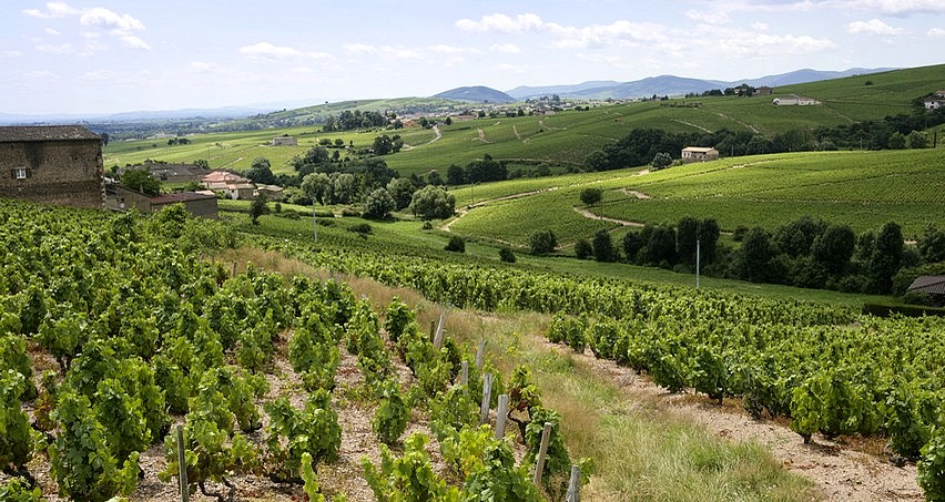 La Chapelle des Bois, un très beau climat de Fleurie