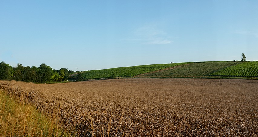 La Moussière, climat bien connu en limite de l'AOC et des cultures céréalières