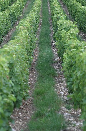 La Pélerine à Bué le 29 Août 2014