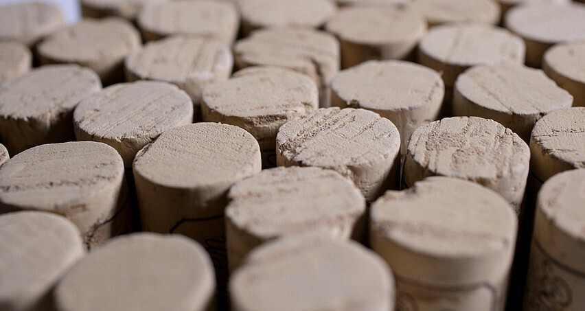Le liège, meilleur ami du vin mais aussi parfois son meilleur ennemi