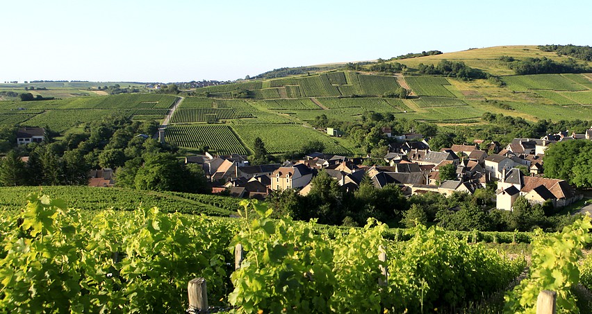 Le village de Chavignol (vue prise du Clos de la Néore sur la côte des Monts Damnés)