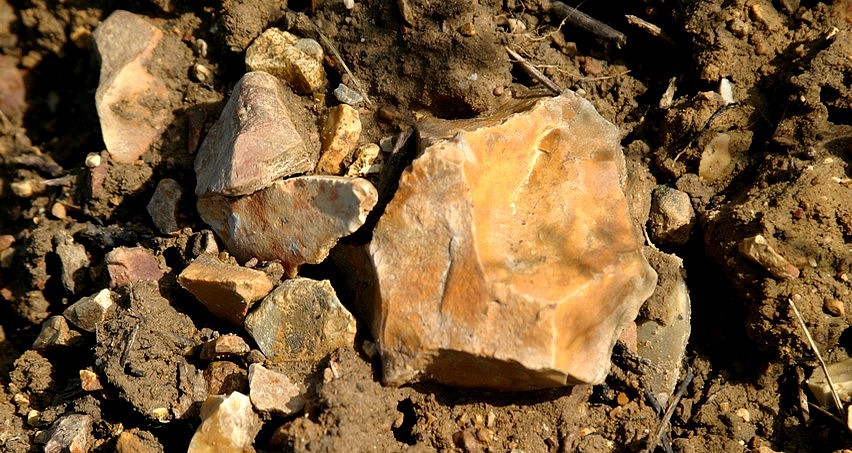 Les argiles à silex, un des 3 grands types de sols de Sancerre