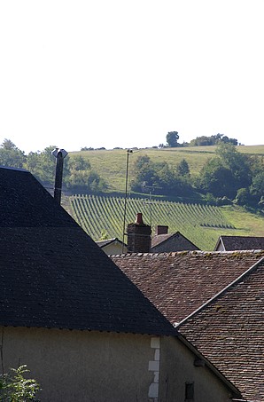 Les Chéneaux et les toits de Chavignol