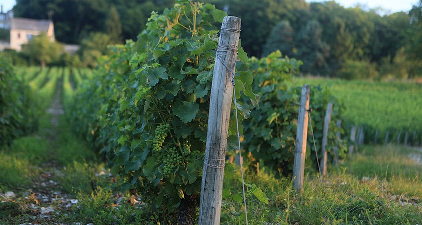 Les Romains, Sancerre