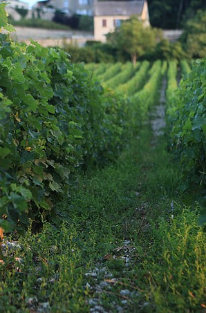 Les Romains, Sancerre