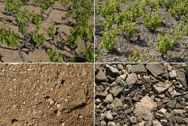 Les terroirs de Corcelette de Daniel Bouland