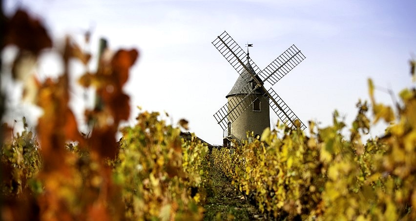 L'incontournable moulin à vent du hameau de Thorins