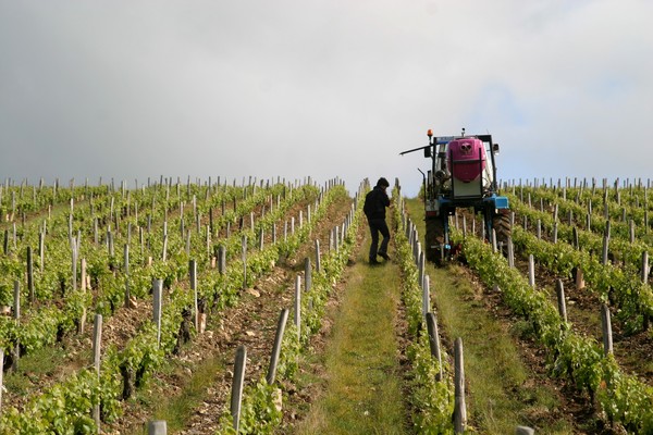 Mathieu suit le travail de très près