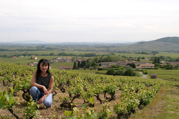 Mee Godard dans ses vignes du Py au-dessus de Morgon