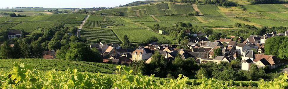 Vallée de la Loire > Sancerre