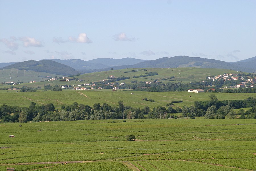 Paysage beaujolais