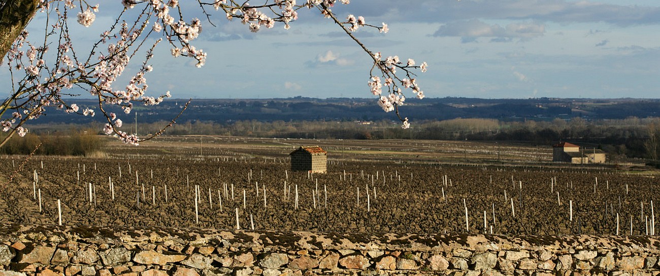 Printemps