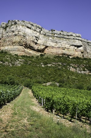 Sous la Roche de Vergisson