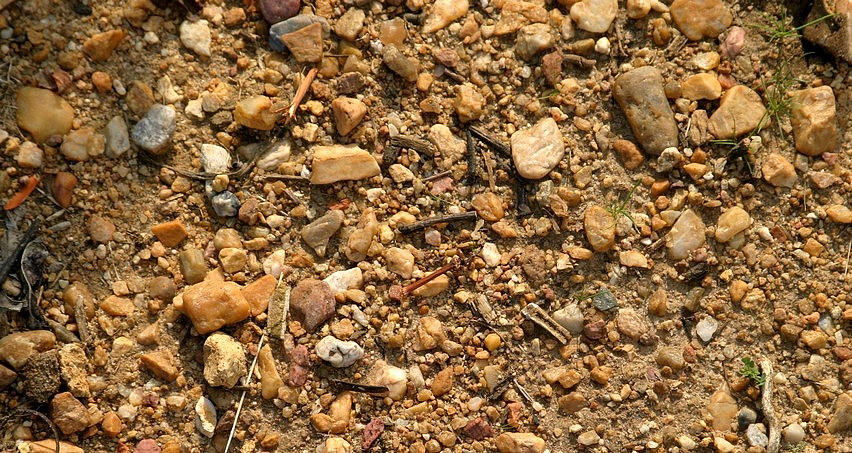 Terroir siliceux (sables et graves) typique des appellations Reuilly et Quincy