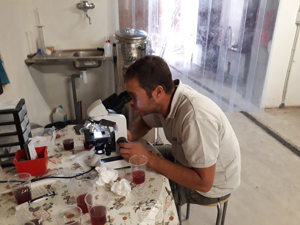 Thillardon Paulo au microscope