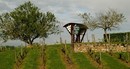 Bienvenue dans les vignobles du Berry