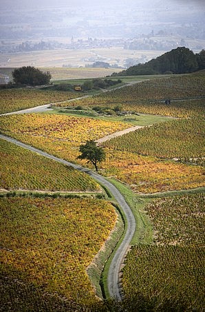 Un automne à Chiroubles