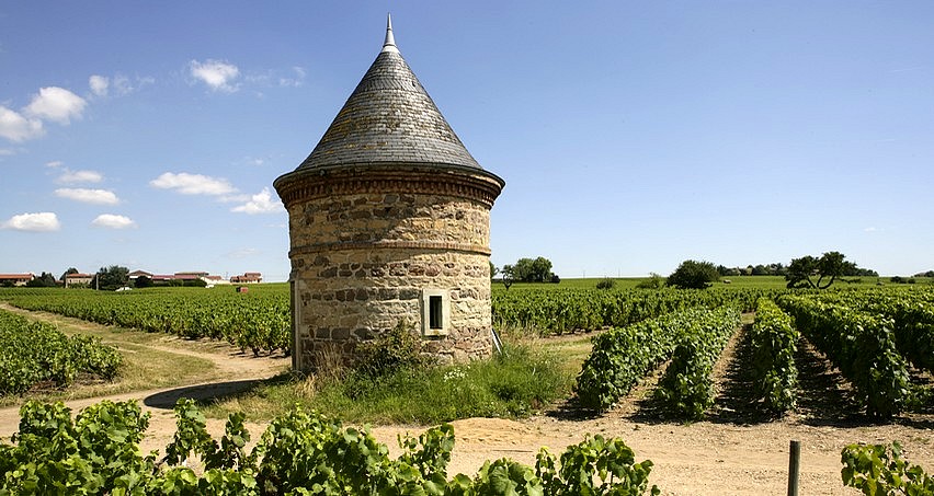 Vignes de Saint-Lager (AOC Brouilly)