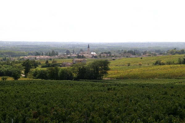 Vue de Romanèche depuis La Roilette