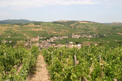 Vue sur Fuissé depuis Les scellés (et roche de Solutré au fond)